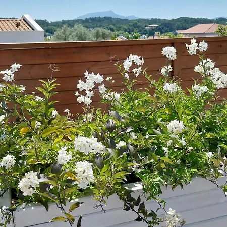 Studio Confort A Bidart, Terrasse Et Parking Buitenkant foto