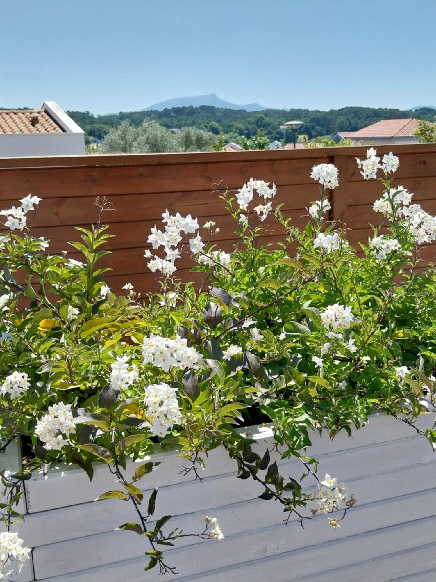 Studio Confort A Bidart, Terrasse Et Parking * Bidart