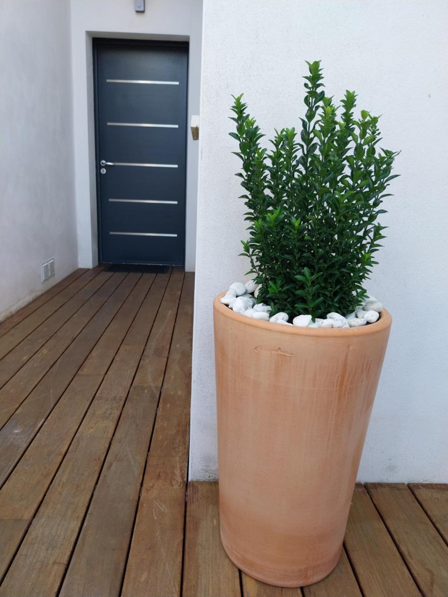 Studio Confort A Bidart, Terrasse Et Parking Apartment *